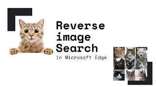 How to do Reverse Image Search in Microsoft Edge