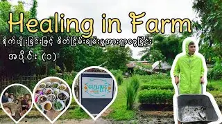 Healing in Farm (စိုက်ပျိုးခြင်းဖြင့် စိတ်၏ငြိမ်းချမ်းမှုကို ရှာဖွေခြင်း) အပိုင်း - ၁