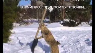 Картинки с надписями