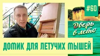 Домик для летучих мышей / Мангал / Дом Яни в Туапсе / Дневник погоды в Туапсе