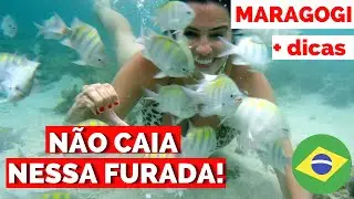 ASSISTA A ESSE VÍDEO antes de ir pra Maragogi : Piscinas Naturais (Galés de Maragogi)