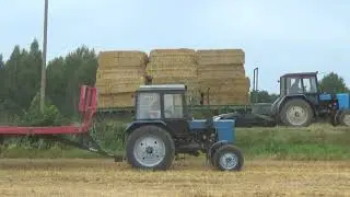 Погрузка и транспортировка соломы с полей СПК 