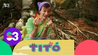 Excursió a la tardor - Titó