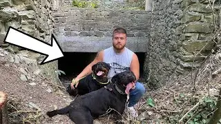 HADES VE SOFİA İLE TEHLİKELİ BİNAYA GİRDİK MAHZEN BULDUK!