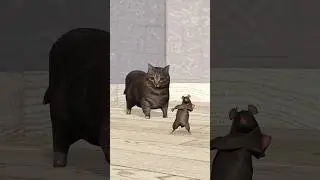 Dancing Rat vs OIIA Cat 🗿 