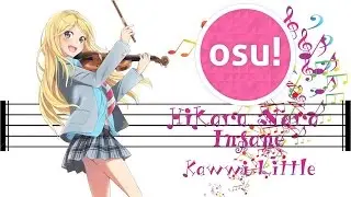 [osu!] Goose House - Hikaru Nara [Insane] SS