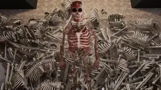 Let Me Bone You a Question
