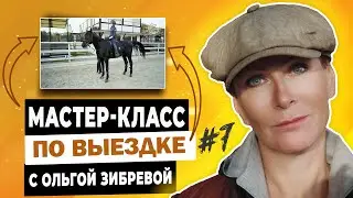 Мастер-класс с Ольгой Зибревой по выездке. 1 день 7 всадник Елизавета на лошади по кличке 