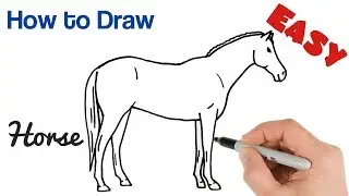 How to Draw a Horse Easy Step by Step Drawing