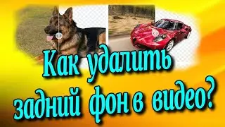 Как удалить задний фон в видео и добавить футажи?♻️ [Olga Pak]