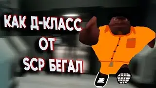 Как Д Класс от SCP бегал | SCP Secret Laboratory