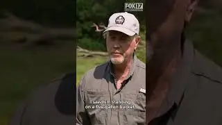 Man on Tennessee sex offender registry accused of animal abuse with horse