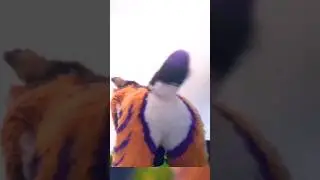 Epsole and Ixil Shake Their Tails (Fursuit Butts)