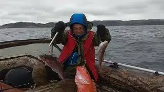 Мурманские Морские Экспедиции и рыбалки