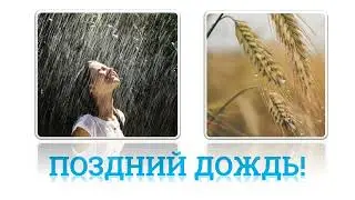 ГЛАВНОЕ О ПОЗДНЕМ ДОЖДЕ!