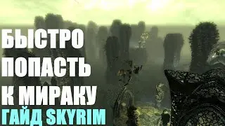 БЫСТРОЕ ПРОХОЖДЕНИЕ АПОКРИФА К МИРАКУ ГАЙД SKYRIM