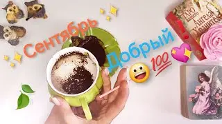 🍒✨Сентябрь✨Чем порадует⁉️Гадание на кофейной гуще☕ Таро онлайн 🔮