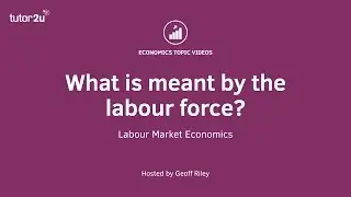 What is the Labour Force?