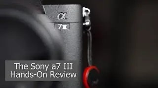 Sony a7 III Review