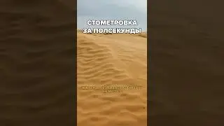 Они развивают невероятную скорость, чтобы выжить!