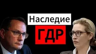 Почему ультраправые набирают популярность в Германии?