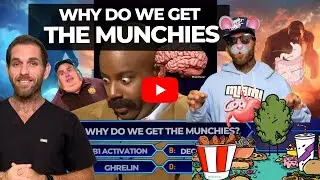 Why Do We Get The Munchies?!