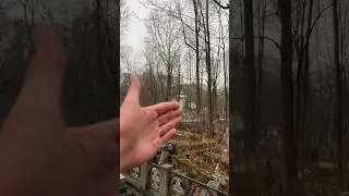 На Смоленском кладбище мироточит Чудотворная икона 🙏 Удивительная Святыня Санкт-Петербурга