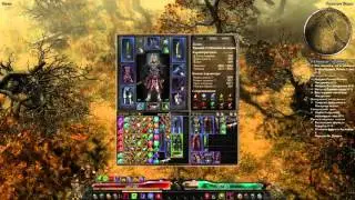 Grim  dawn b 29 Заклятый  враг от  фракции эфириалы  - Валдаран, Штормовая плеть