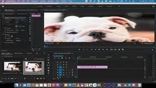 How to Pan and Zoom Images in Premiere Pro - Ken Burns Effect