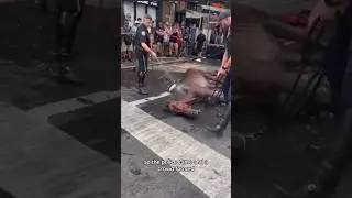 I can’t stay quiet anymore 😭 This is the 3rd horse I’ve seen. Please ✍️ Petition in Bi0 ✍️ 