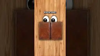 Cómo Leer Más Rápido