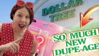 ‼️🚨✨️NEW NEVER SEEN LINE $1.25 DOLLAR TREE FINDS BPure Dupes & More! WOW ✨️