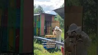 ТАКОГО МЫ НЕ ОЖИДАЛИ... 