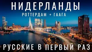 Нидерланды. Мы в шоке! Отношение к русским. Реакция. Флаги.  Роттердам. Гаага. Музей, Де Хаар. 2024