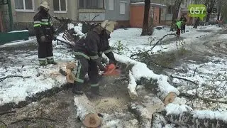 Харьков завалило снегом. Спасатели разгребают дороги, пилят деревья