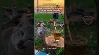 Знакомства мусульман мужчины