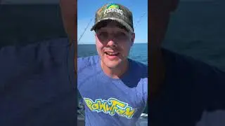 I CAUGHT A ROCK SNAPPER