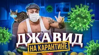 ДЖАВИД НА КАРАНТИНЕ