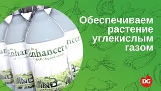 №35 Углекислый газ для растений. Как обеспечить растение углекислым газом.