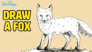 DRAW A FOX step by step instructions