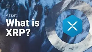 What is Ripple XRP? XRP Explained