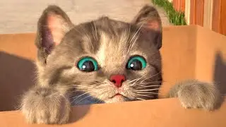 Cute Kitten Little Cat Adventure - Play Fun Pet Care - Preschool Educational Games | Episode 1096