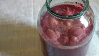 Плесень на яблочном уксусе