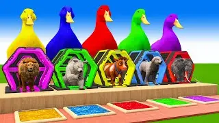 5 Giant Duck Cartoon,Tiger,Cow,Zebra,Gorilla,Dog,Lion,Cat Wild Animals Crossing Fountain 2023