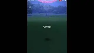 WILD GYARADOS !!!!!