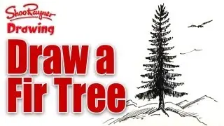 Learn to draw a Fir Tree - spoken tutorial