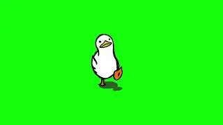 Утка из ТИК ТОКА на зеленом фоне | Viral DUCK TIK TOK Green screen