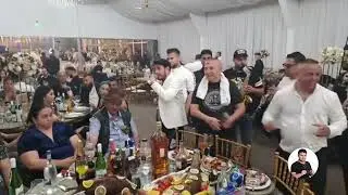 Copilul de Aur, Nicolae Guta, Stefan & Narcis de la Barbulesti - Improvizatie (Live Event)