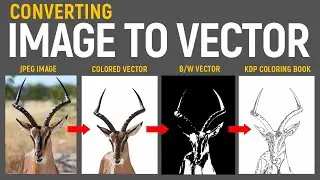 How to Convert Image to Vector in Photoshop & Illustrator