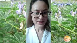 Екатерина Захарова - МилкПрайс об индексе DIA